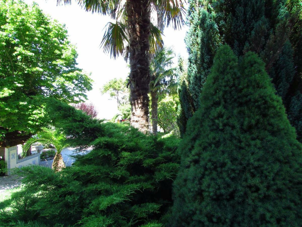 Quinta Do Guerra Villa Boldrarias Exterior foto